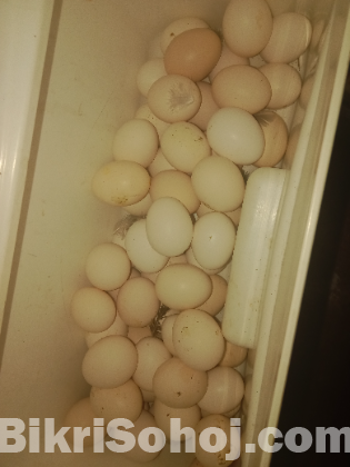 ফাউমির বিজ ডিম